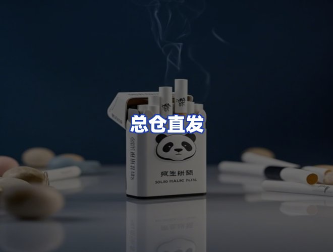 专业团队